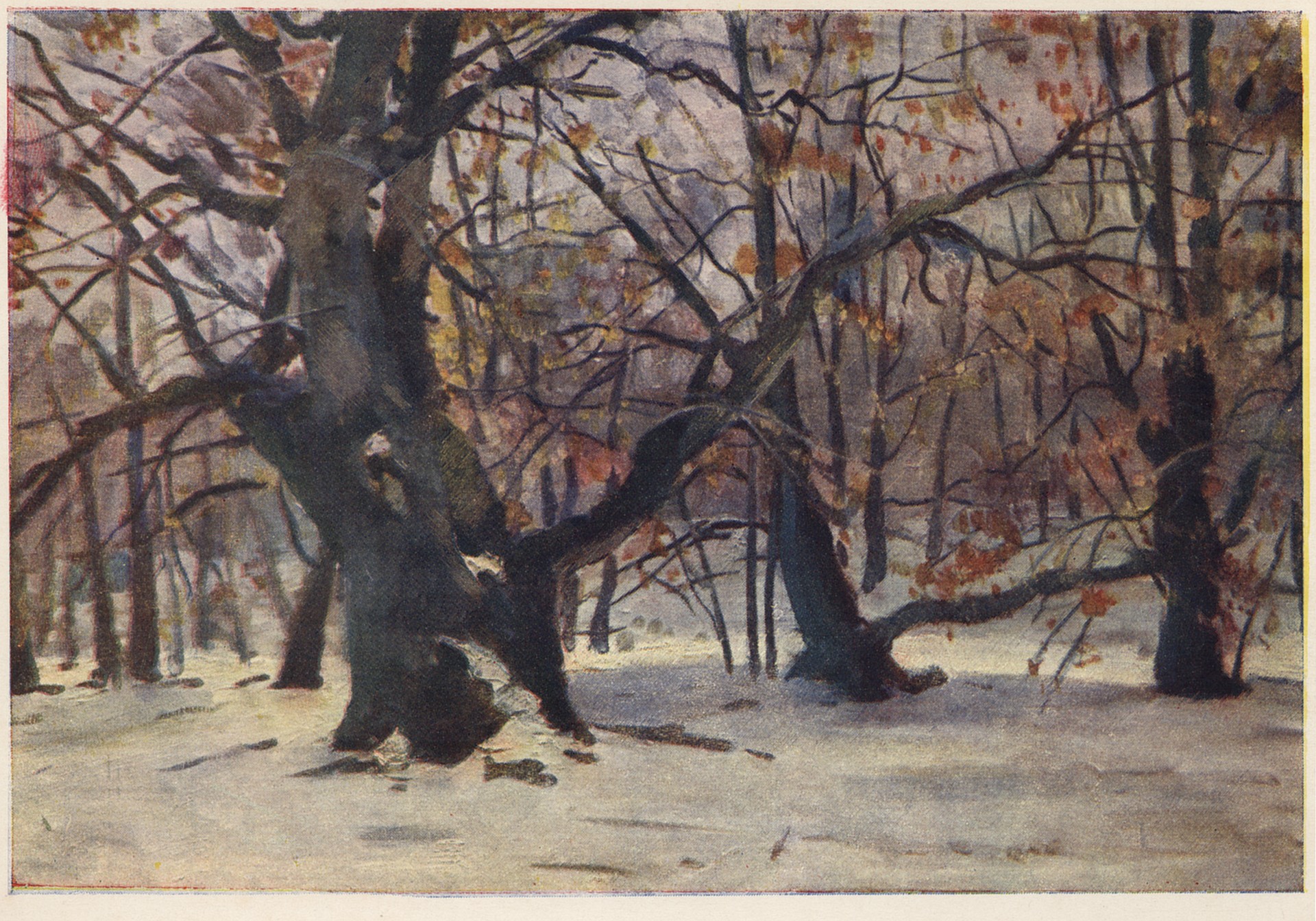 Зима. Конча-Заспа