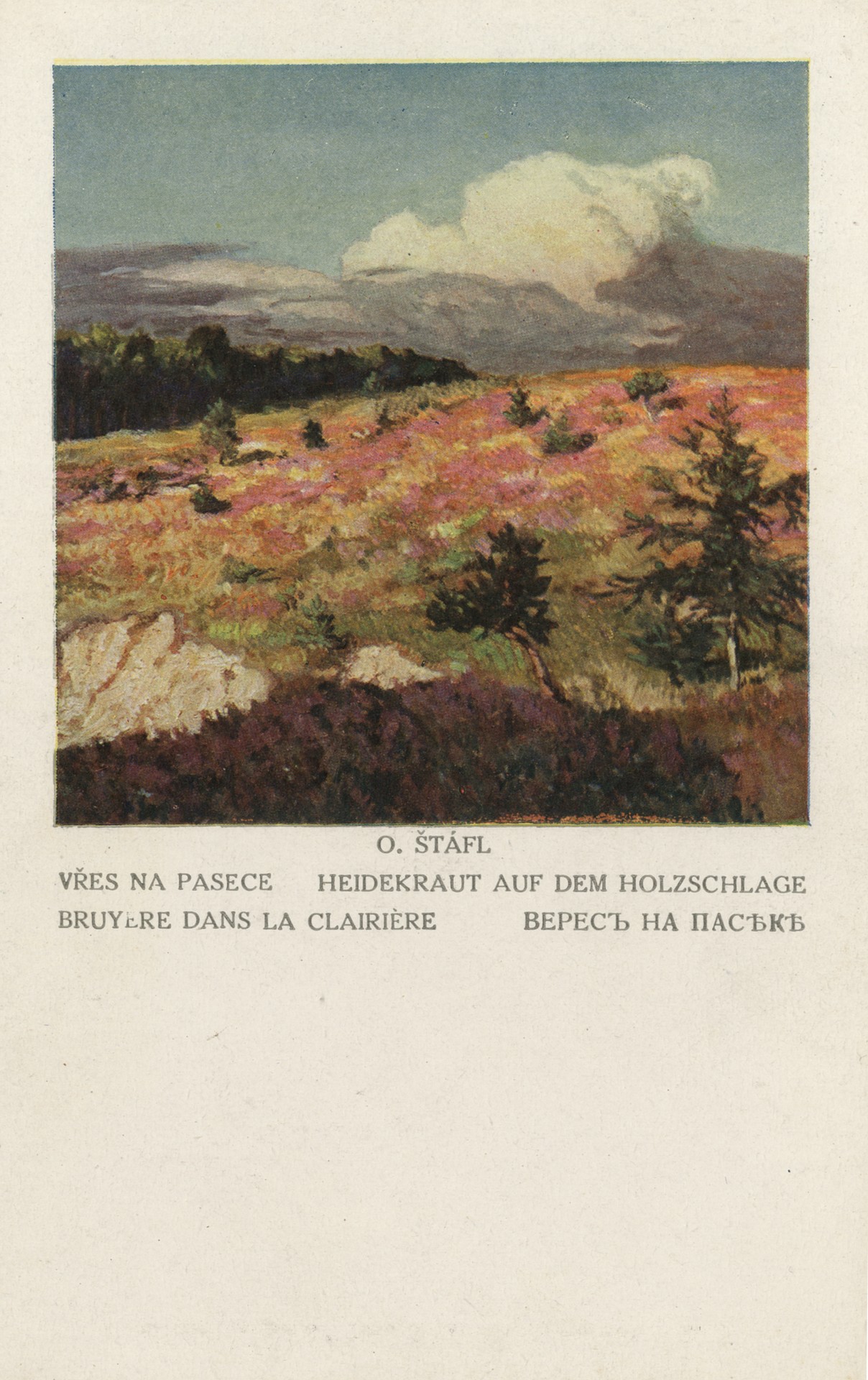 Верес на пасеке