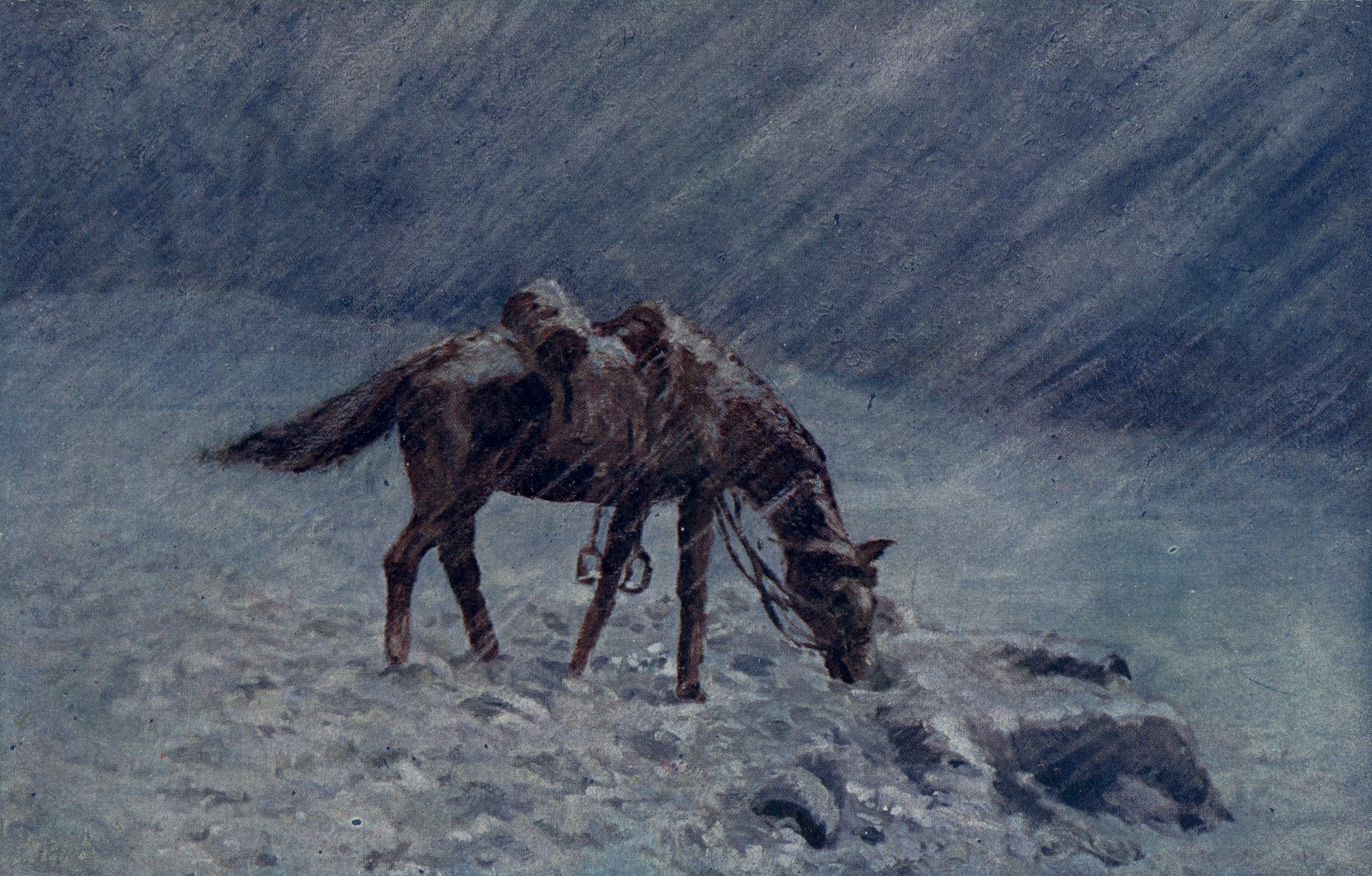 Верный товарищ