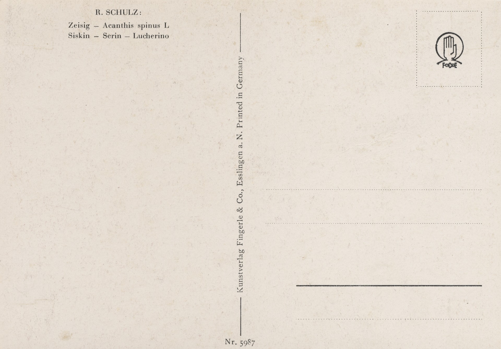 Без имени-10