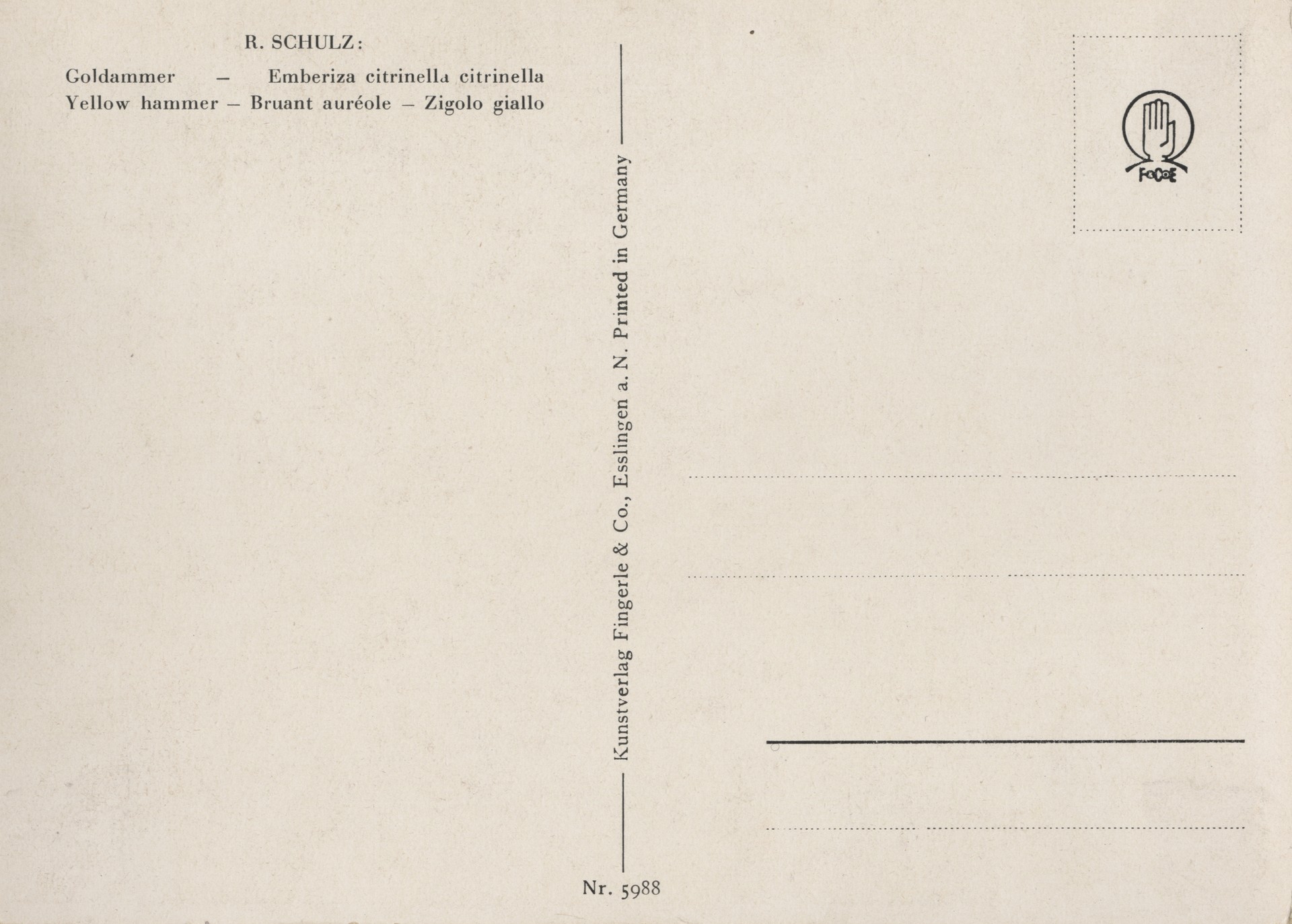 Без имени-11