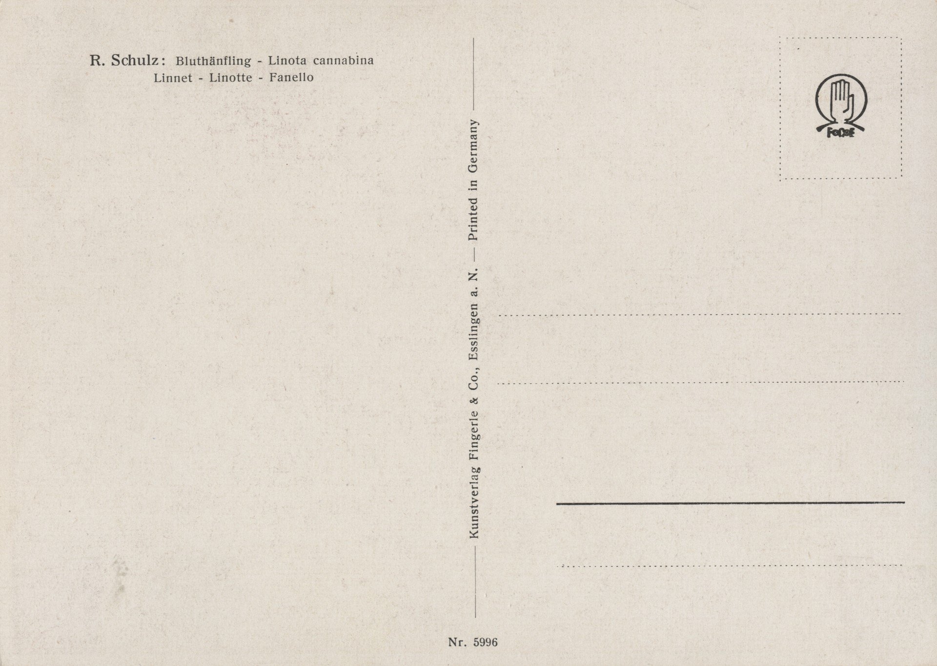 Без имени-12