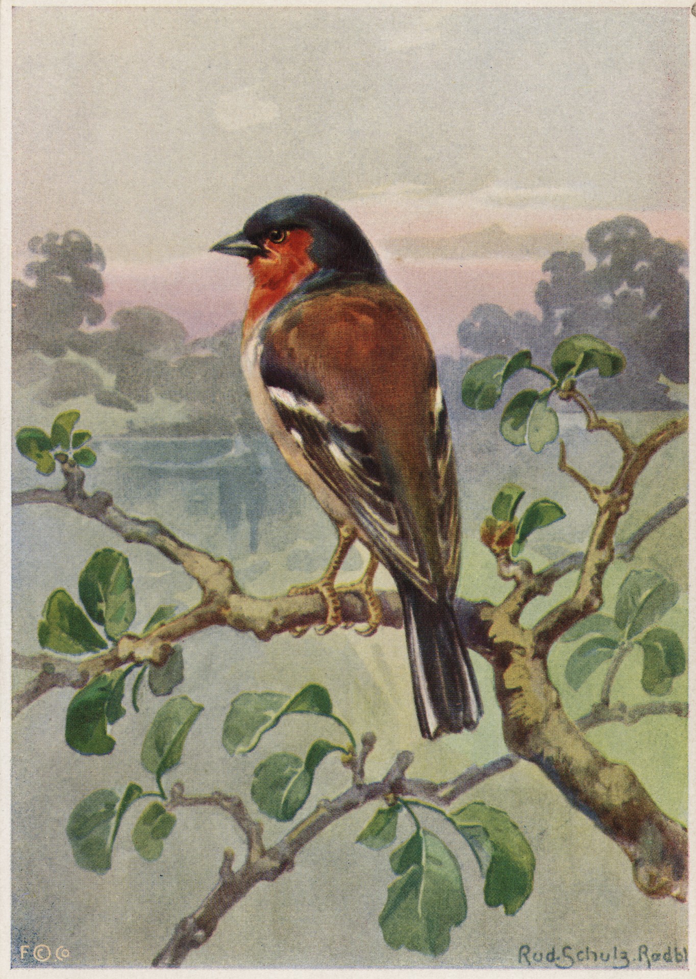 Без имени-13