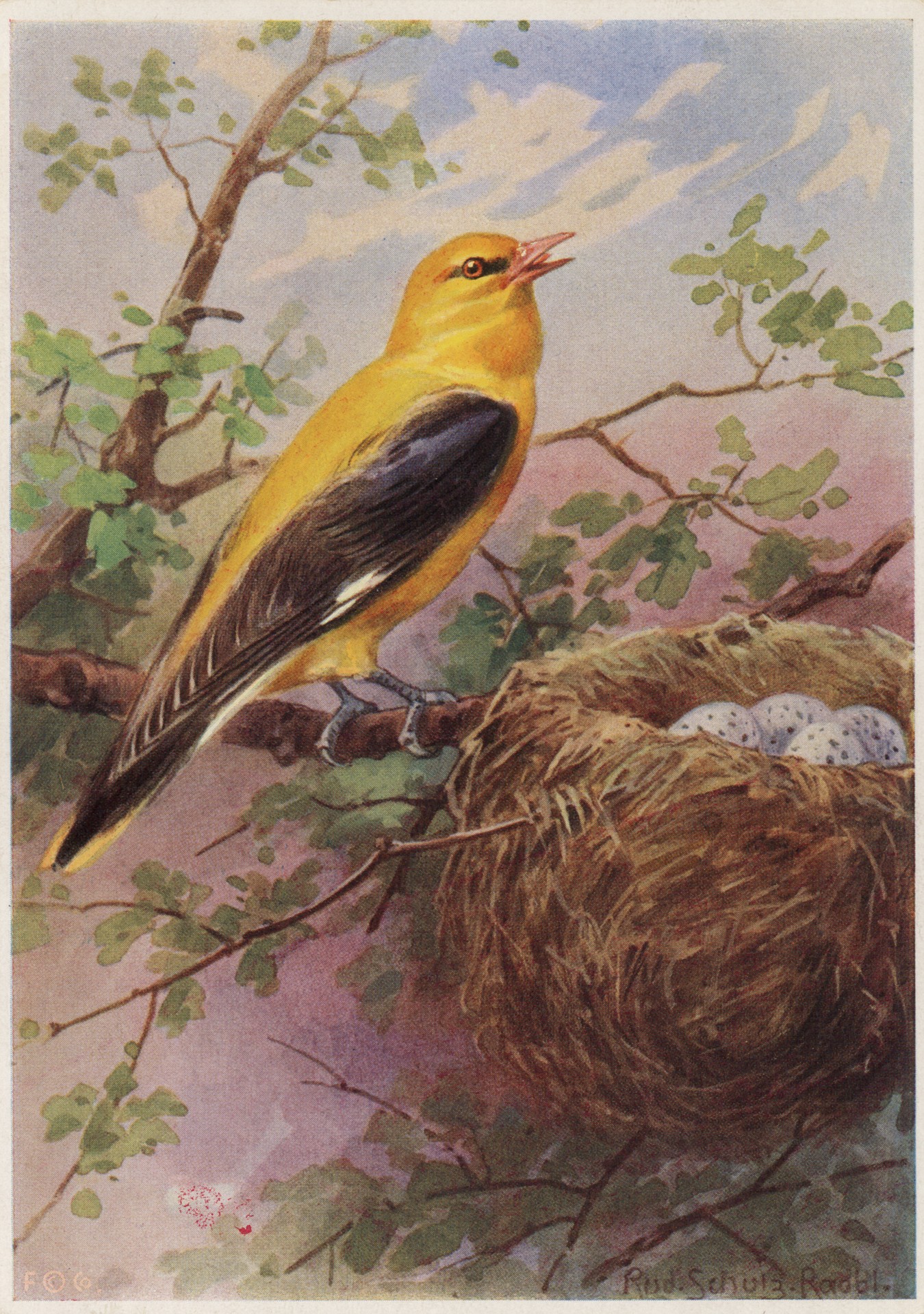 Без имени-14