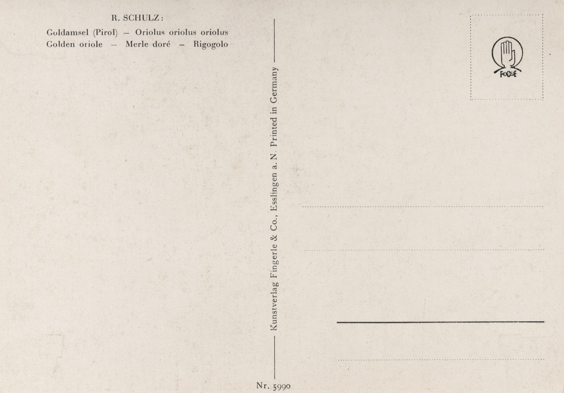 Без имени-15