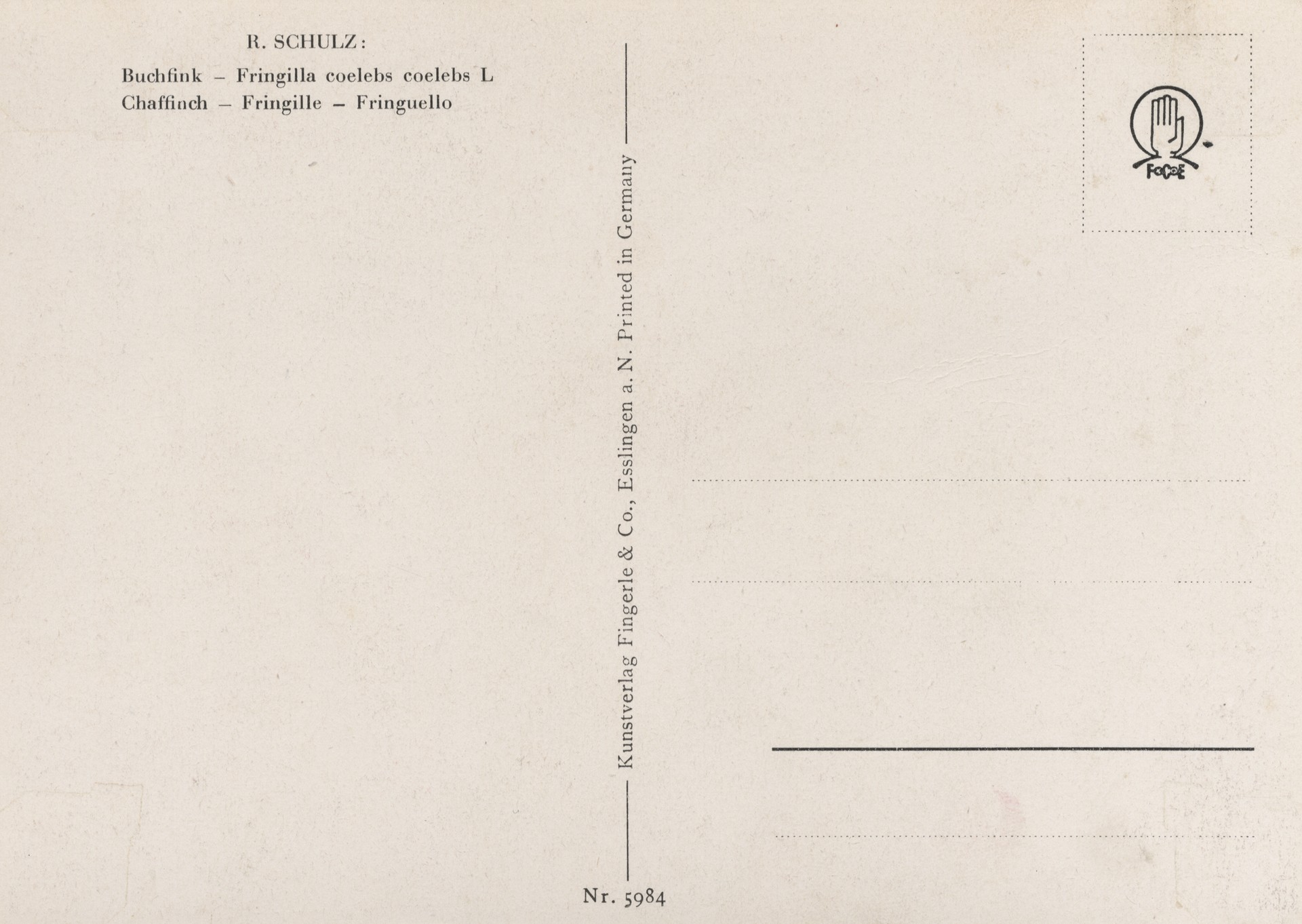 Без имени-16