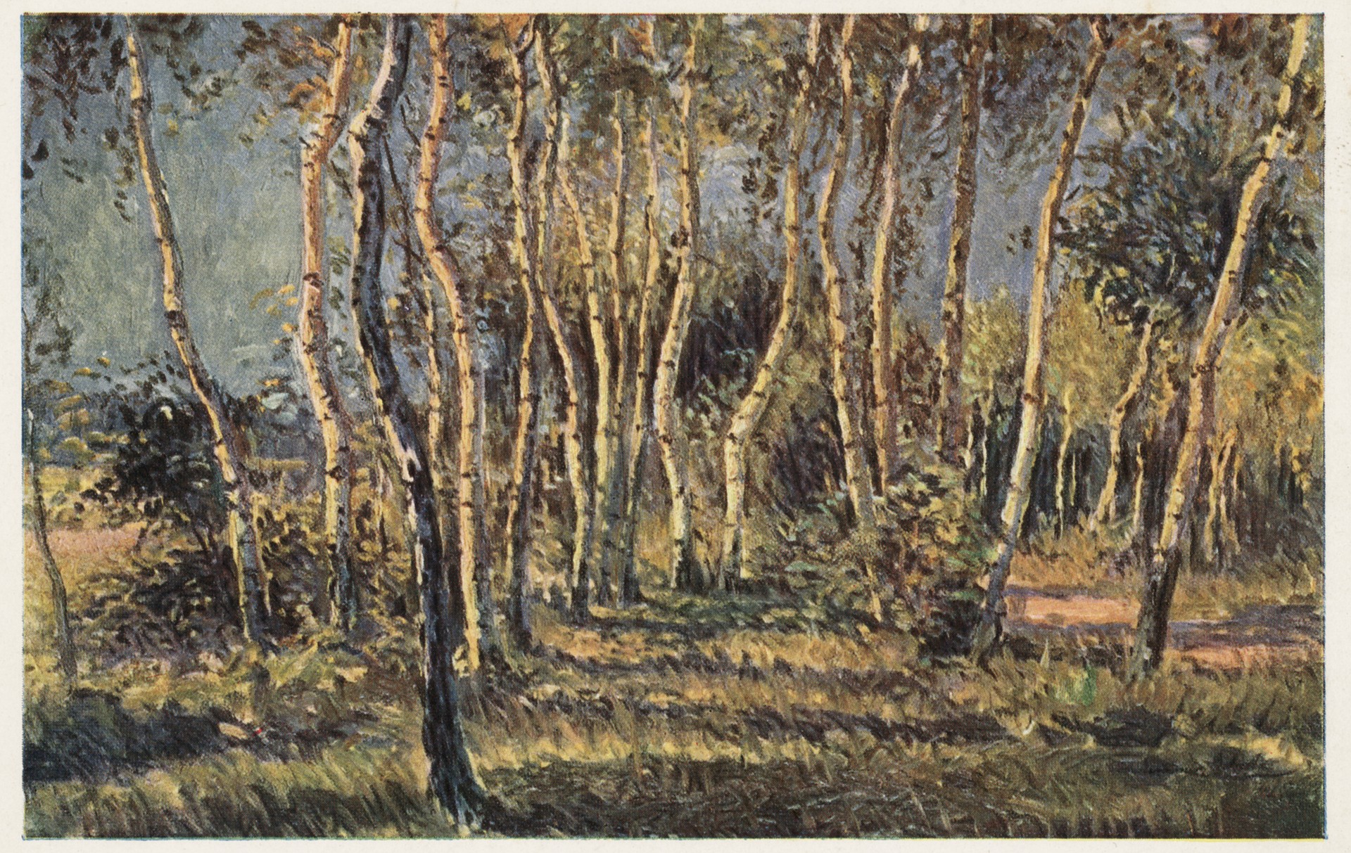 Уголок парка