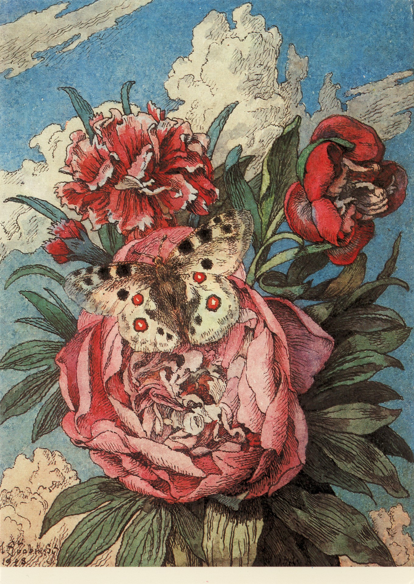 Бабочка на пионе