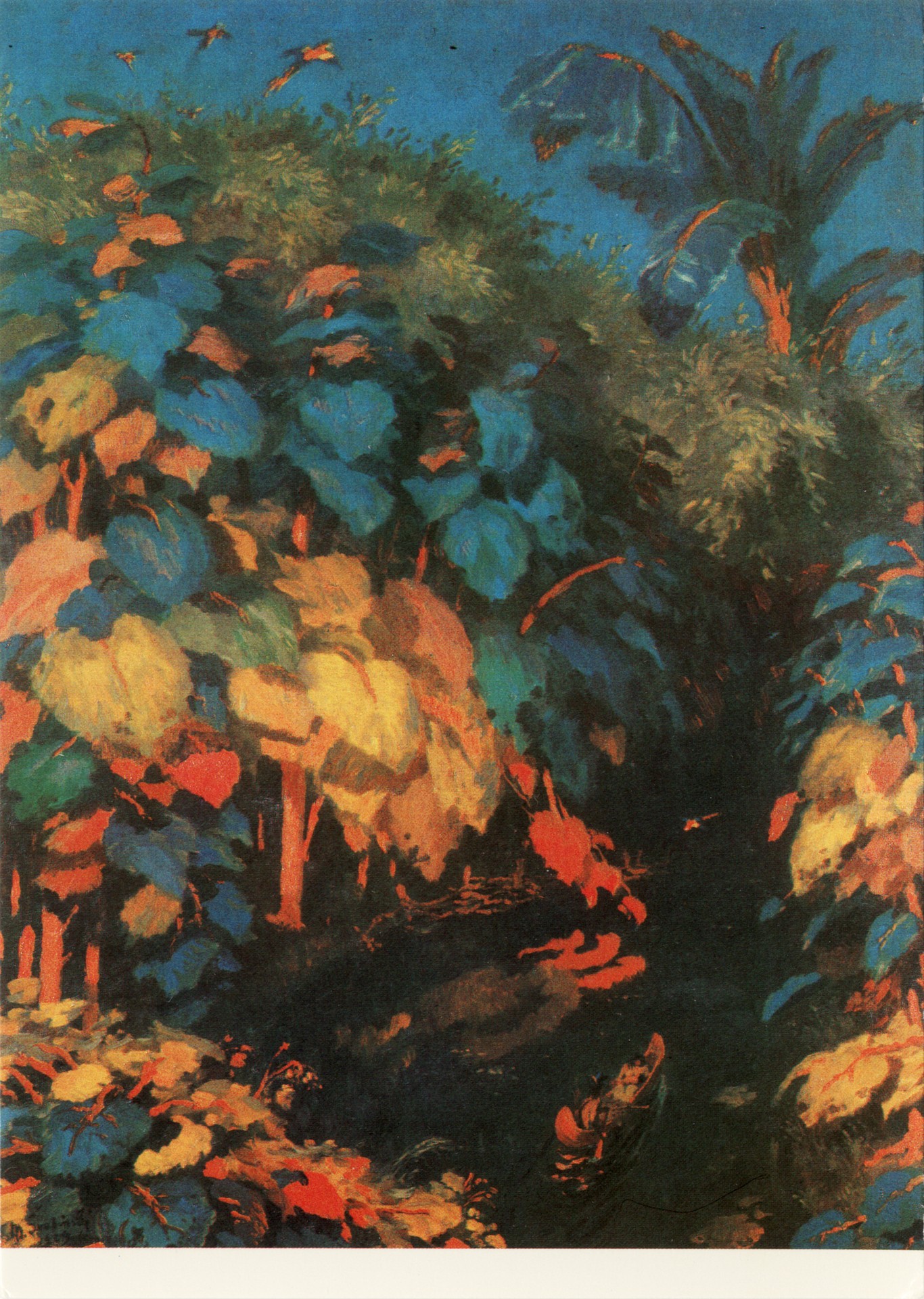 Каноэ в дремучем лесу