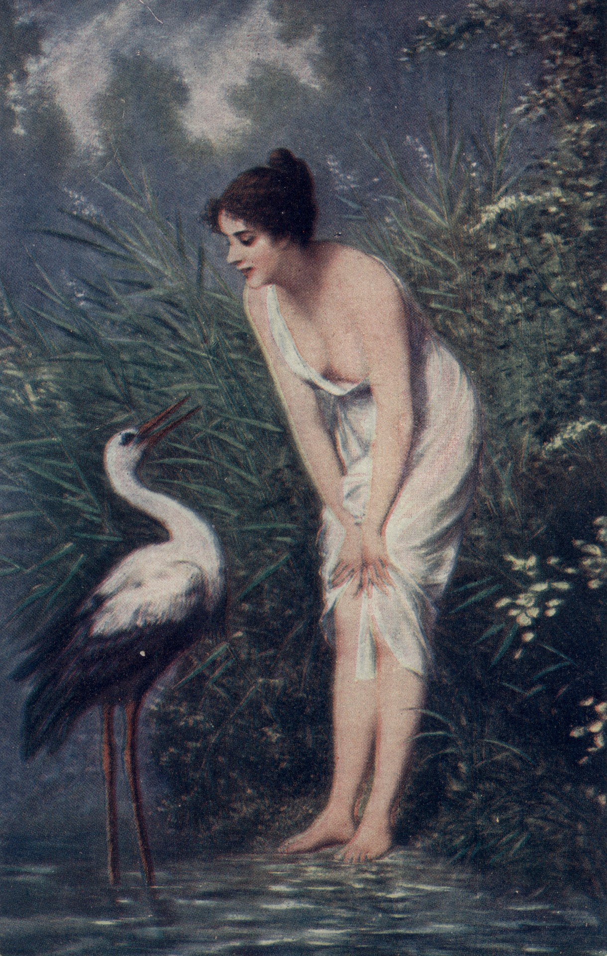 Ручная цапля