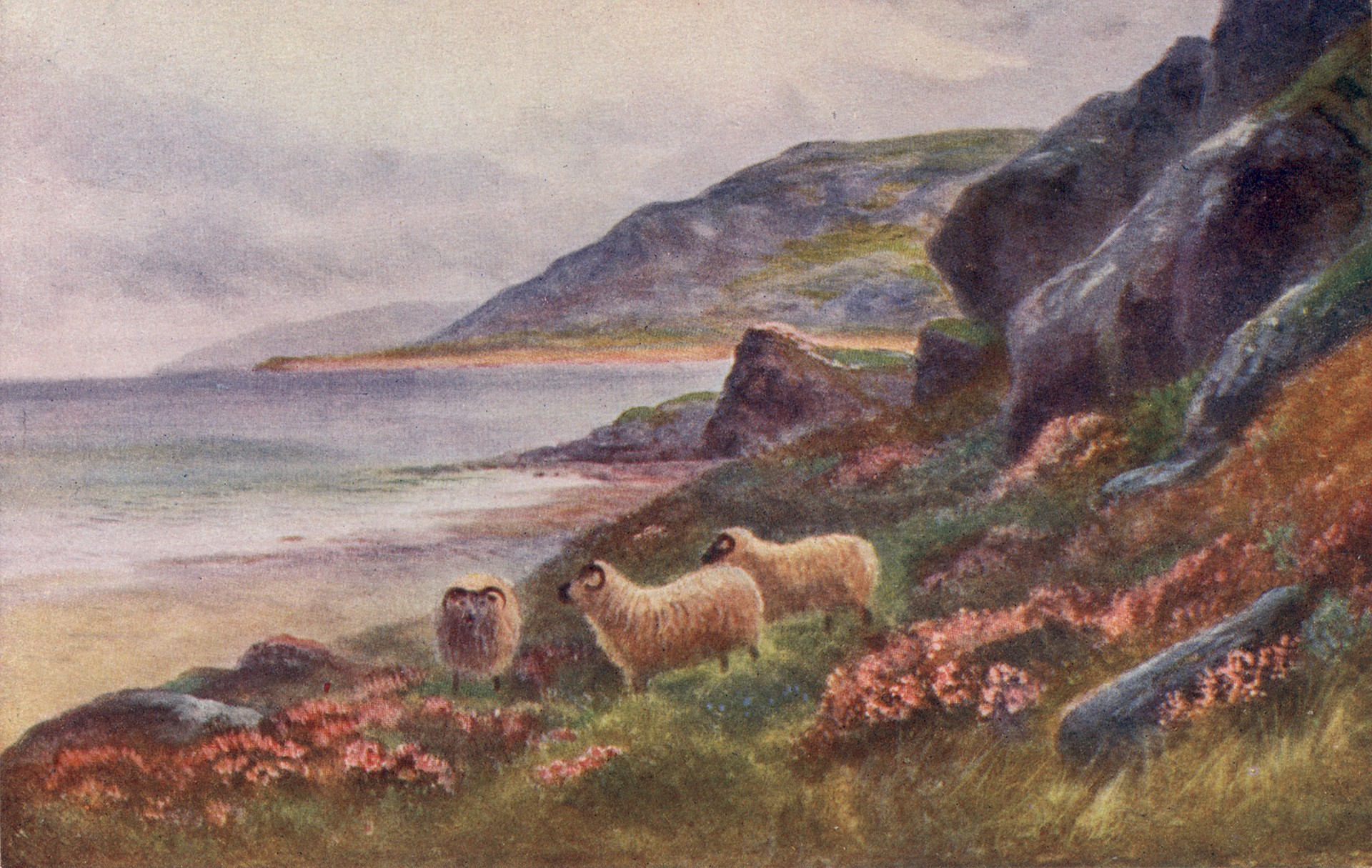 На горном пастбище