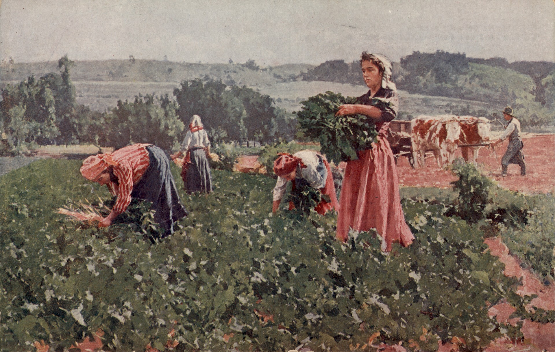 Полевая работа