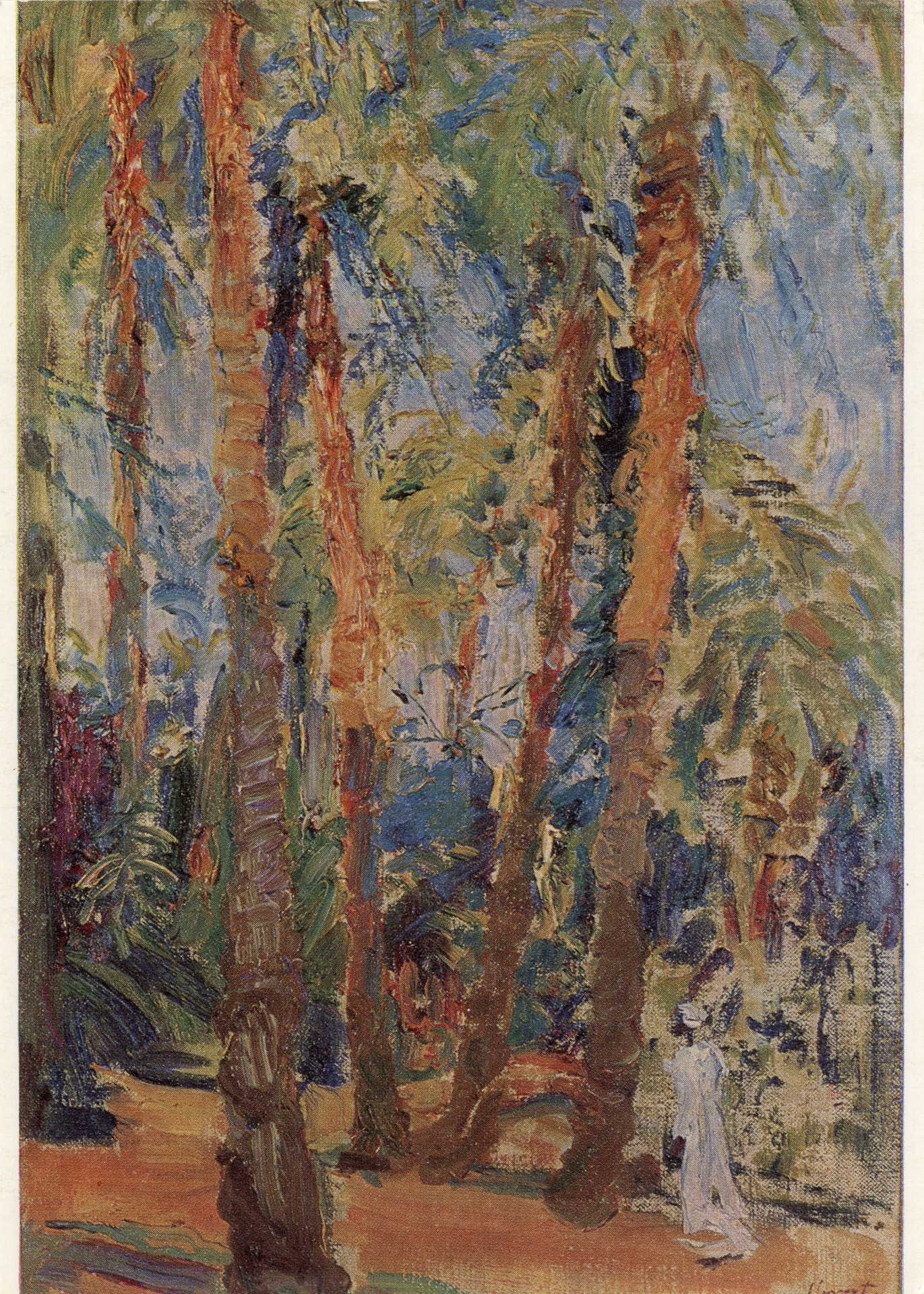 Пальмовый сад в Люксоре