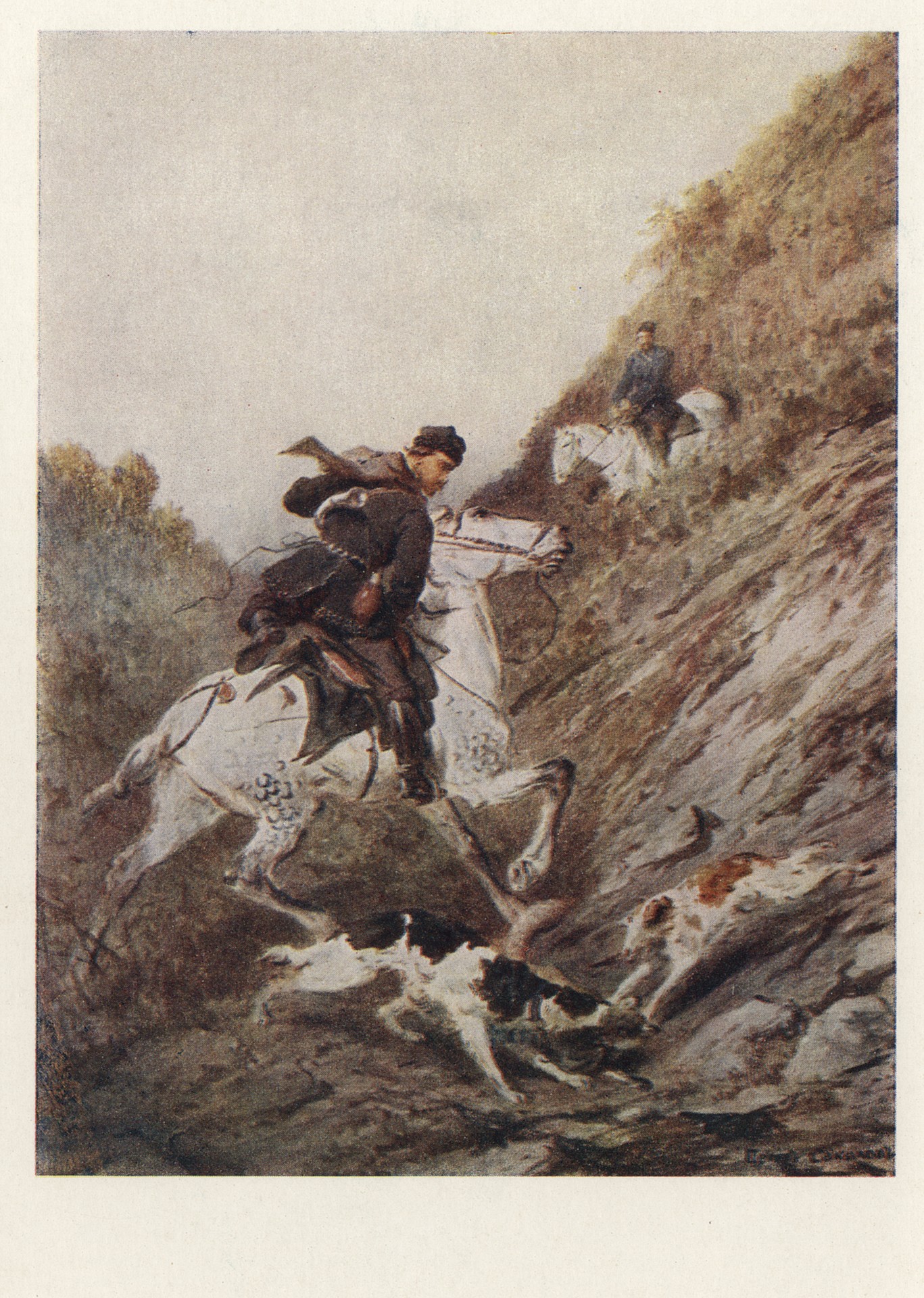 Затравили лисицу