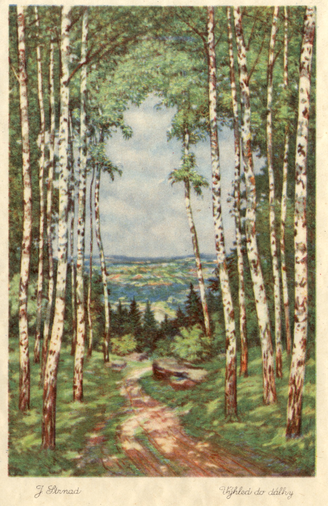 Берёзы и дорога