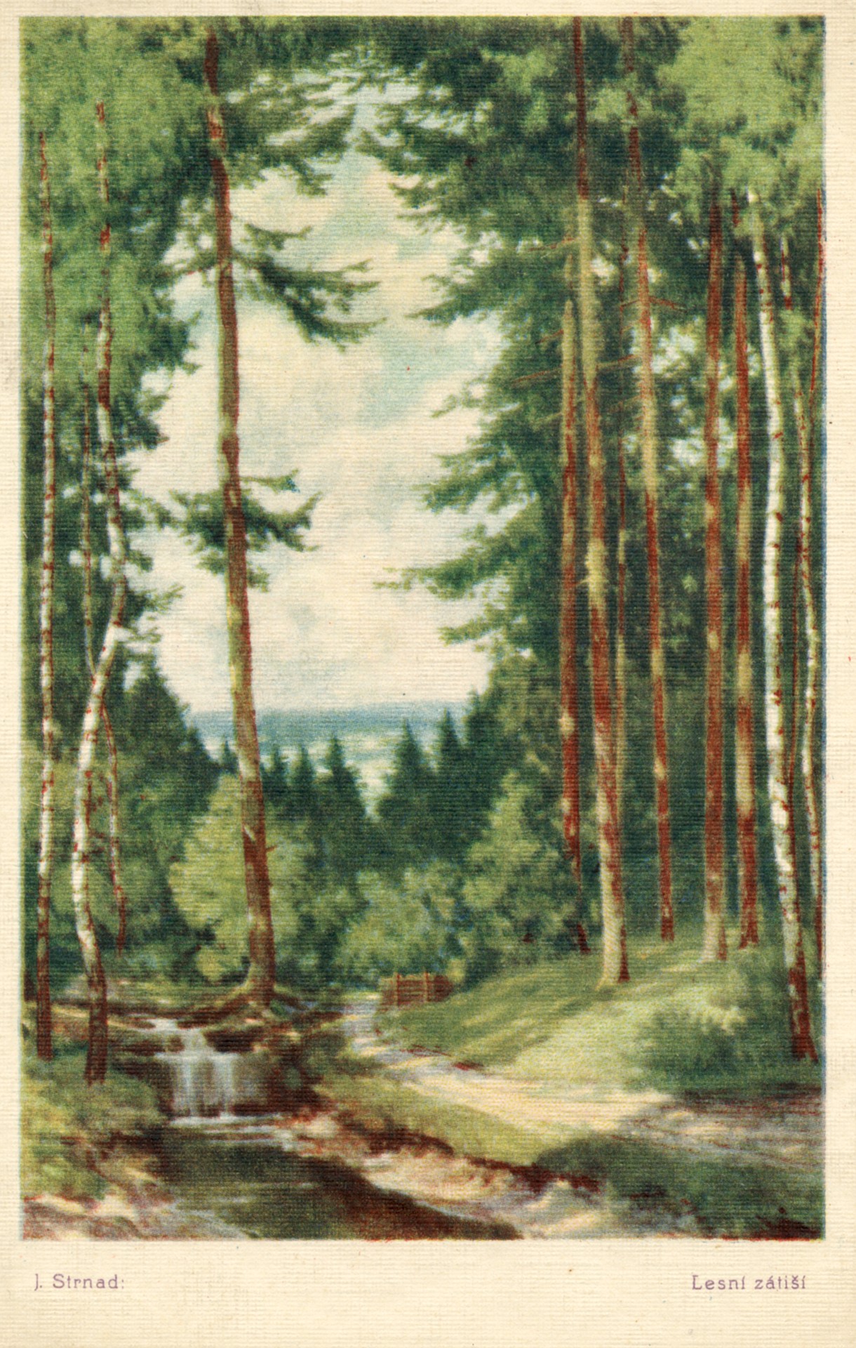 Лесная тишина