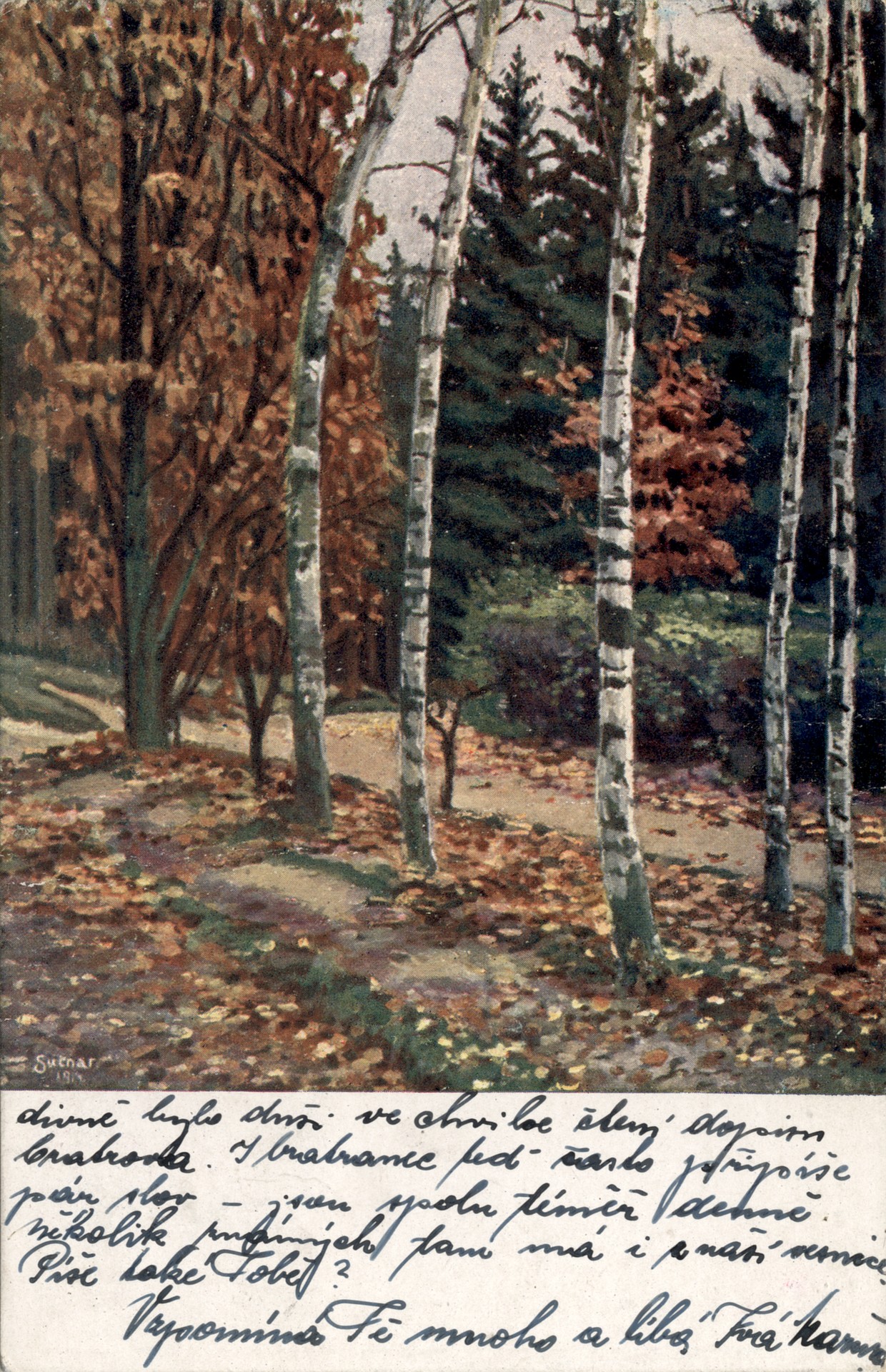 Берёзовый лес