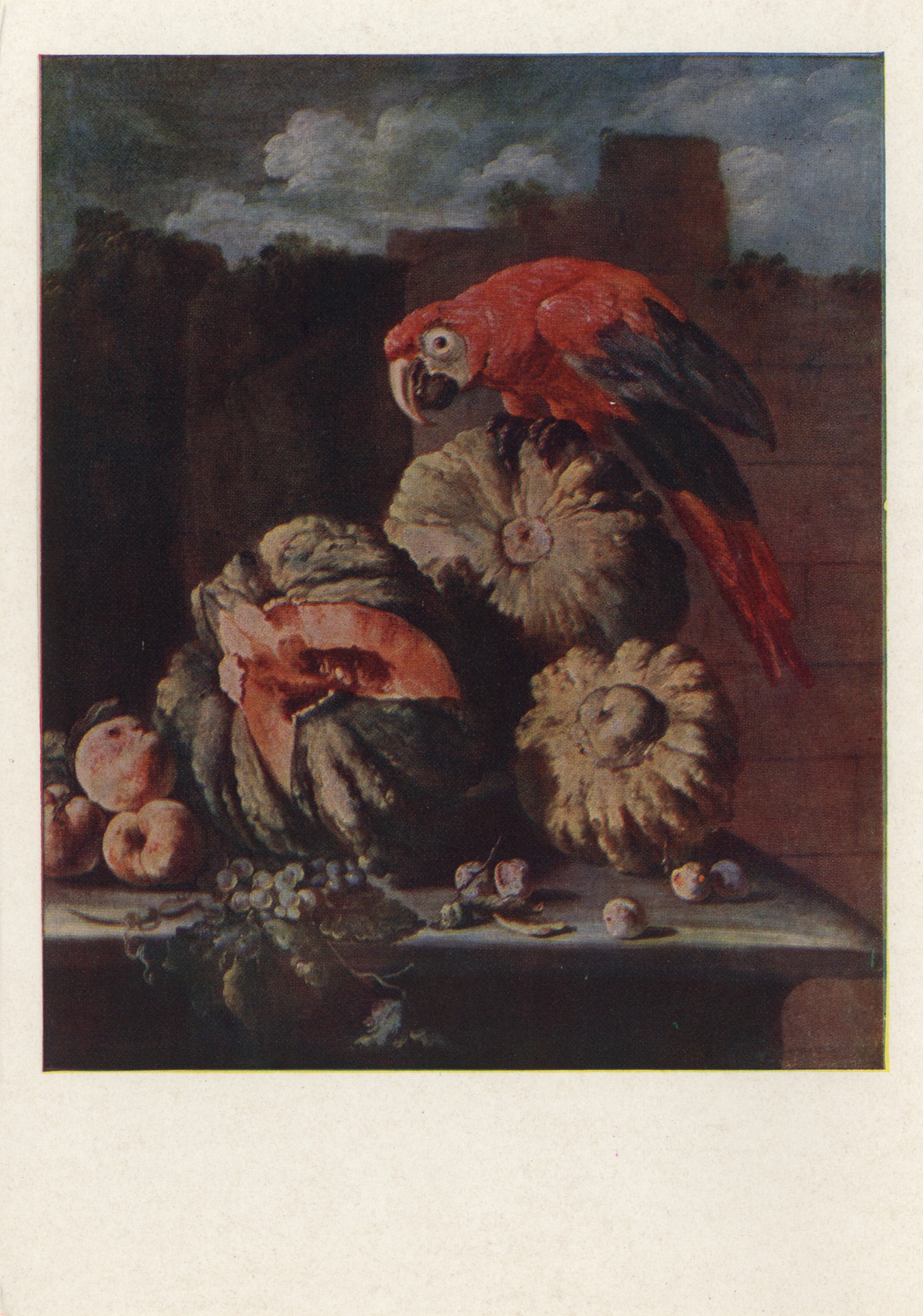 Попугай на тыквах