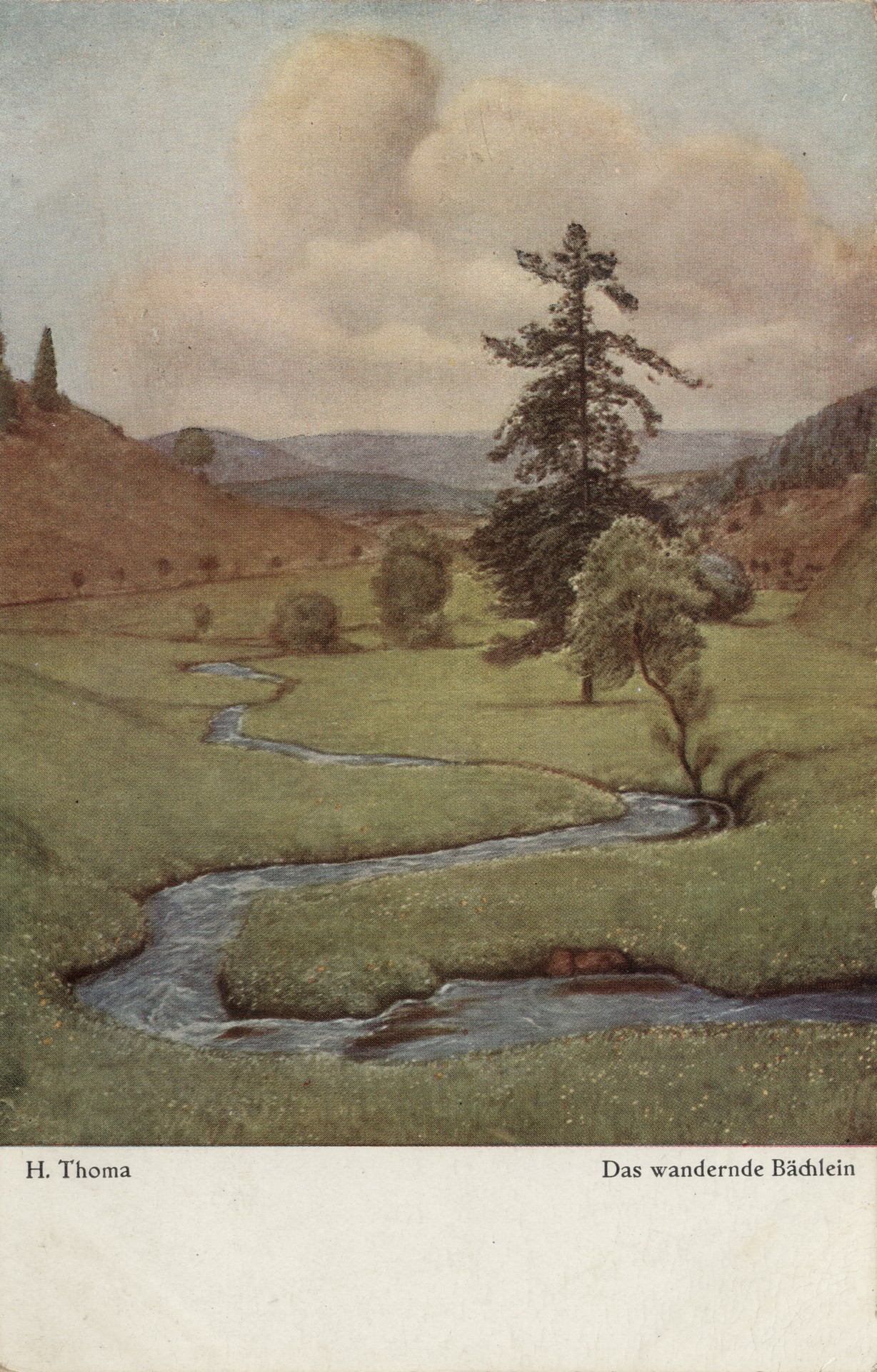 Блуждающий ручей 1