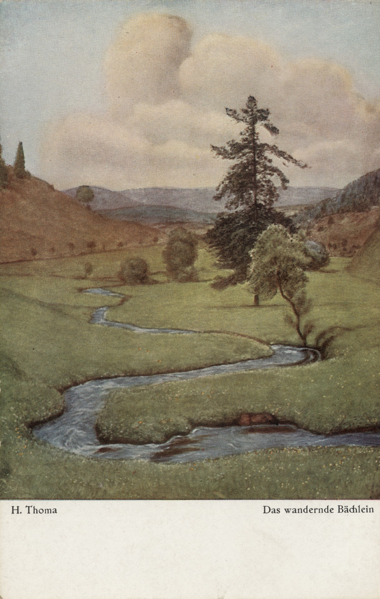 Блуждающий ручей