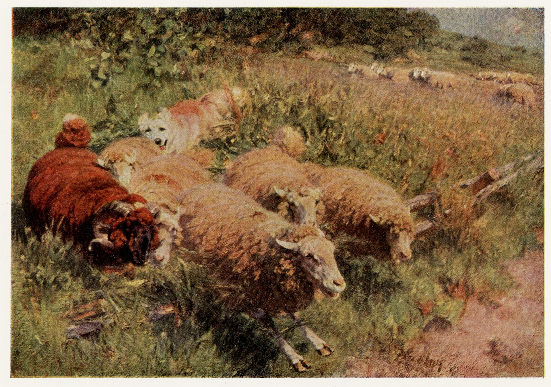 Напуганное стадо