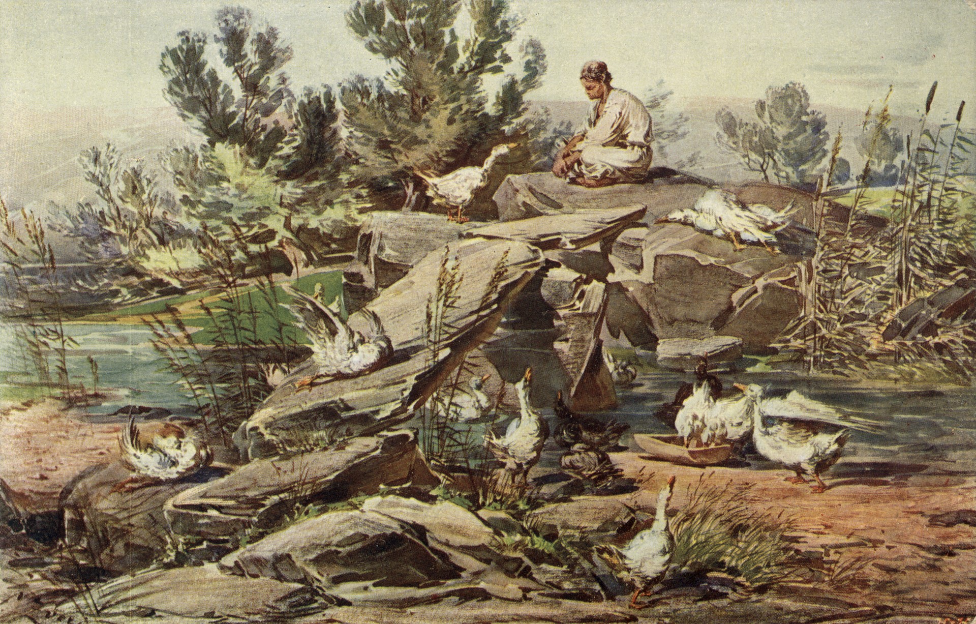 Гуси в Карпатах