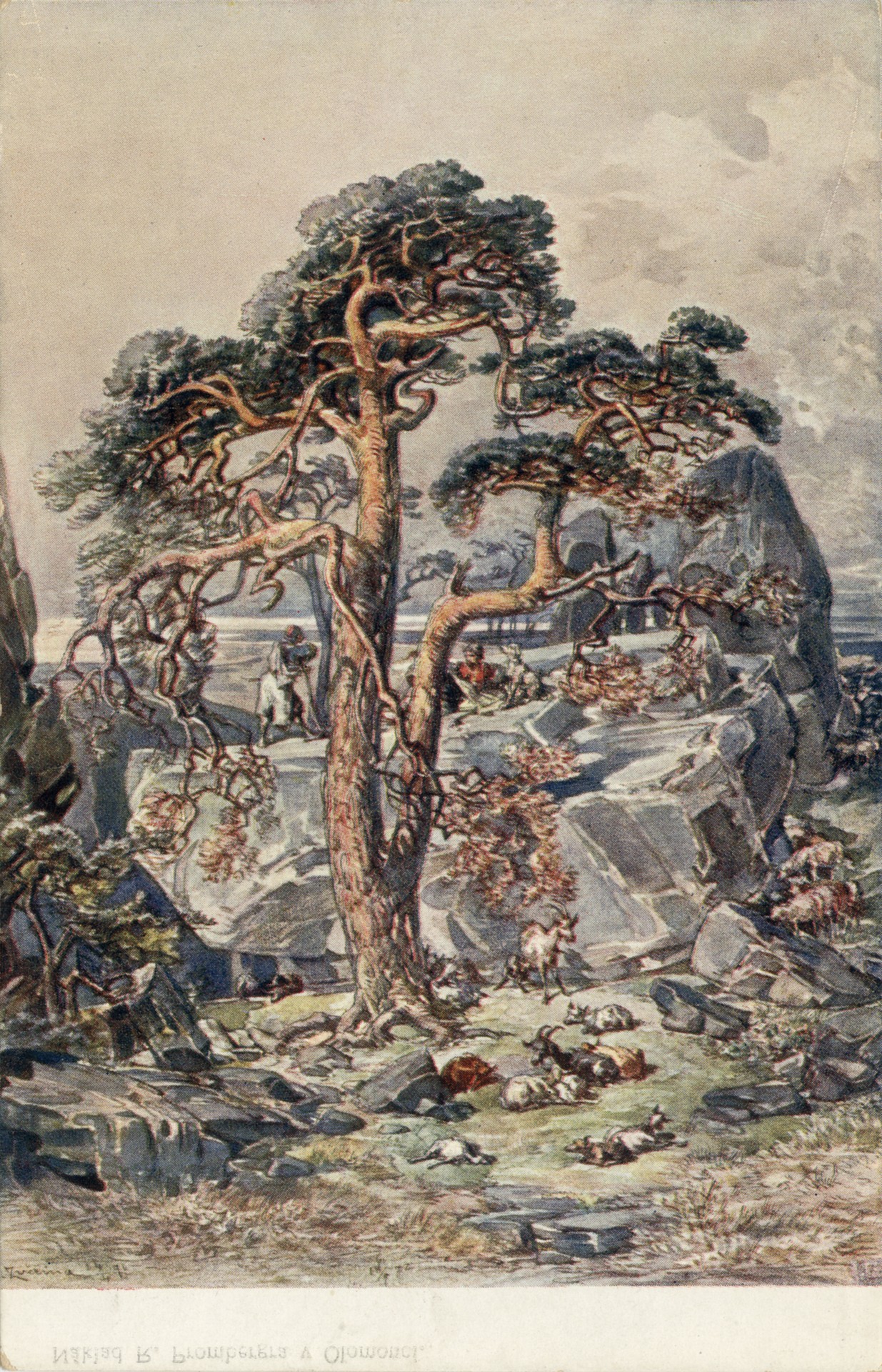 Вид в Далмации