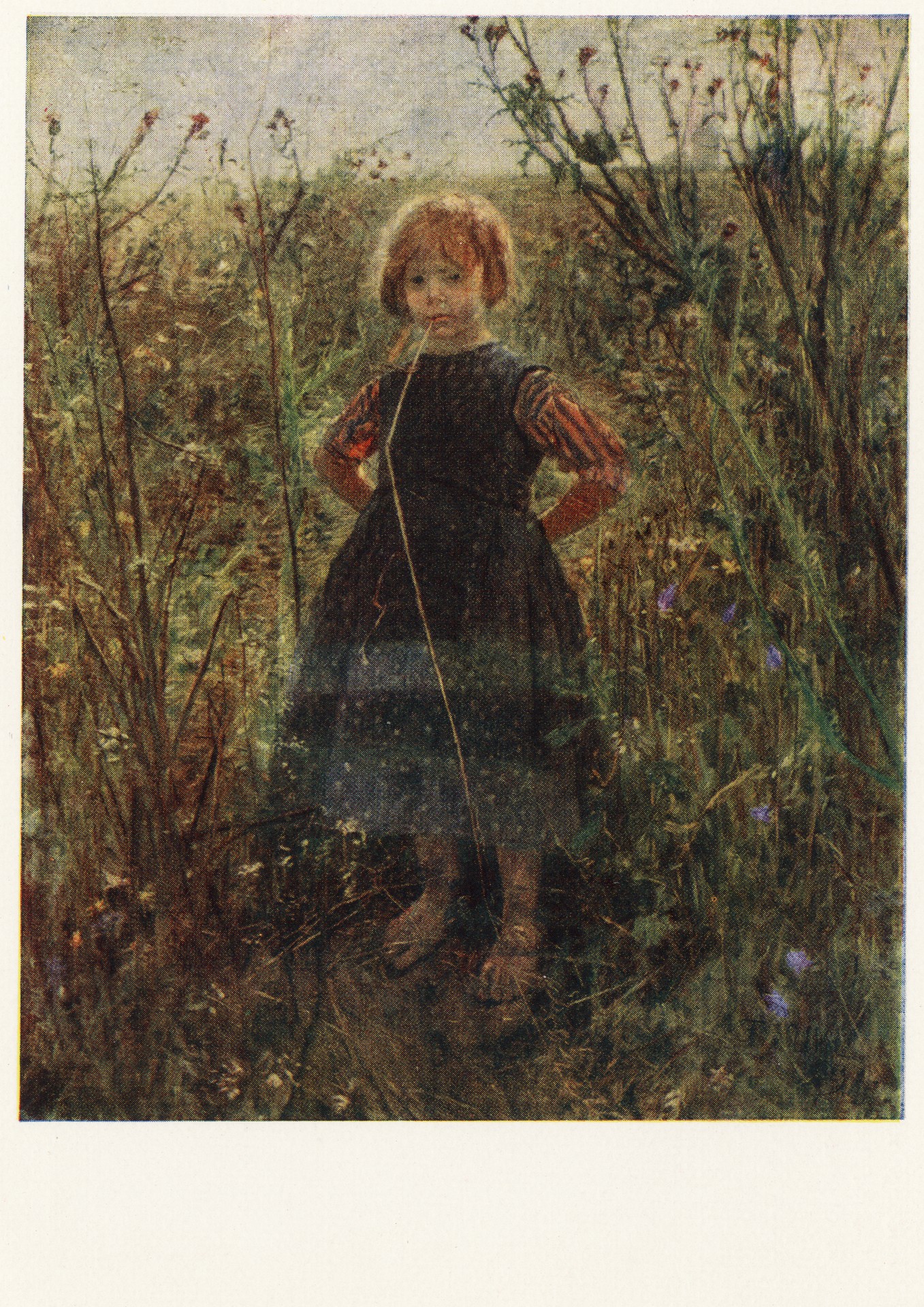 Принцесса полей