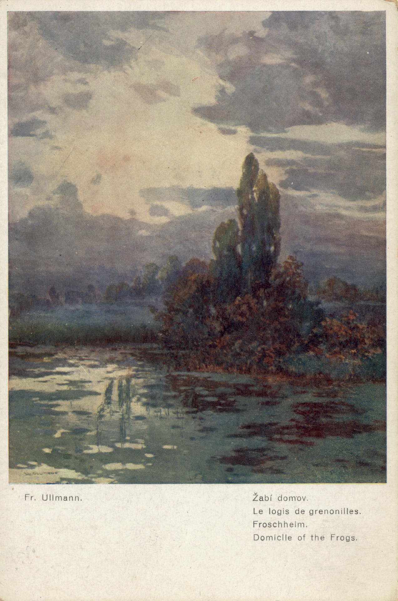 Долина в тумане