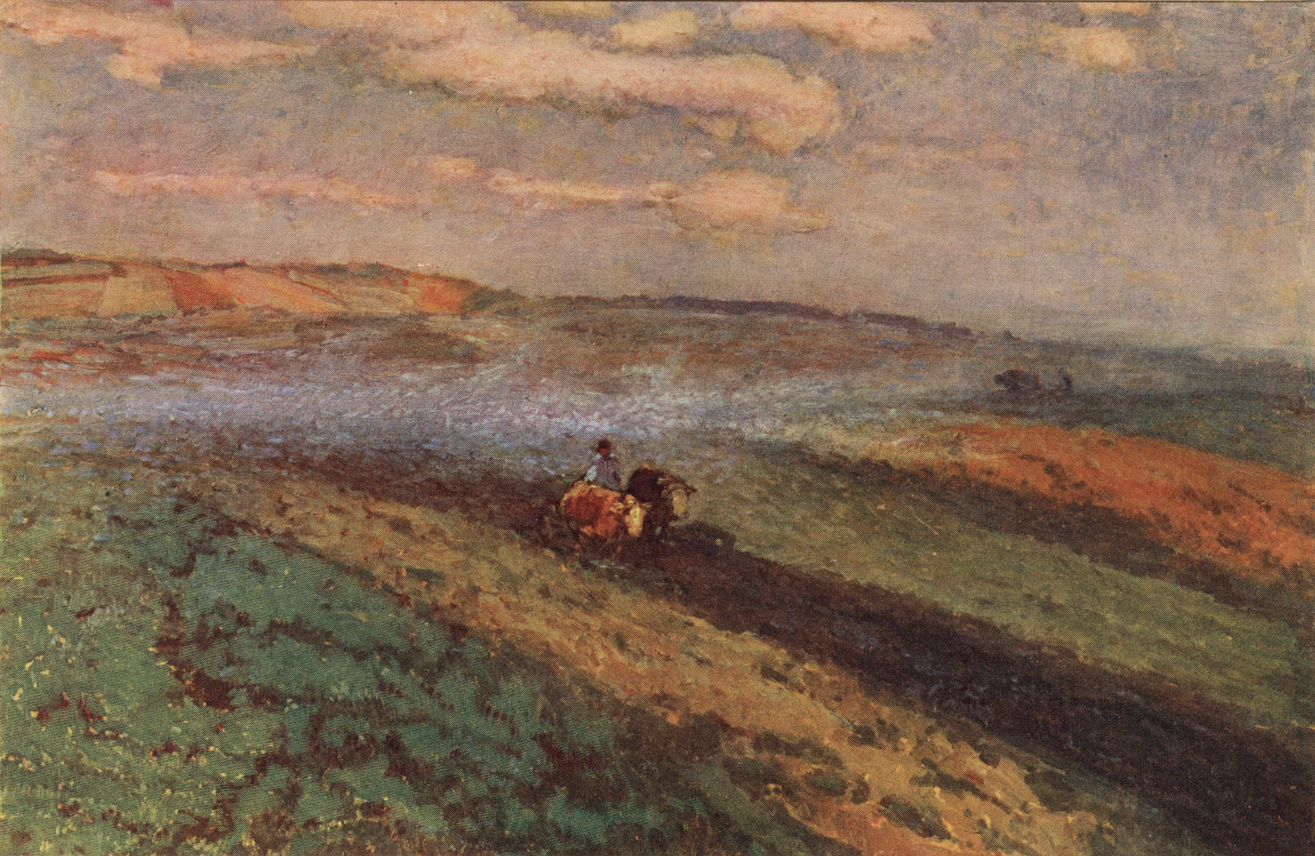 Раннее утро в поле