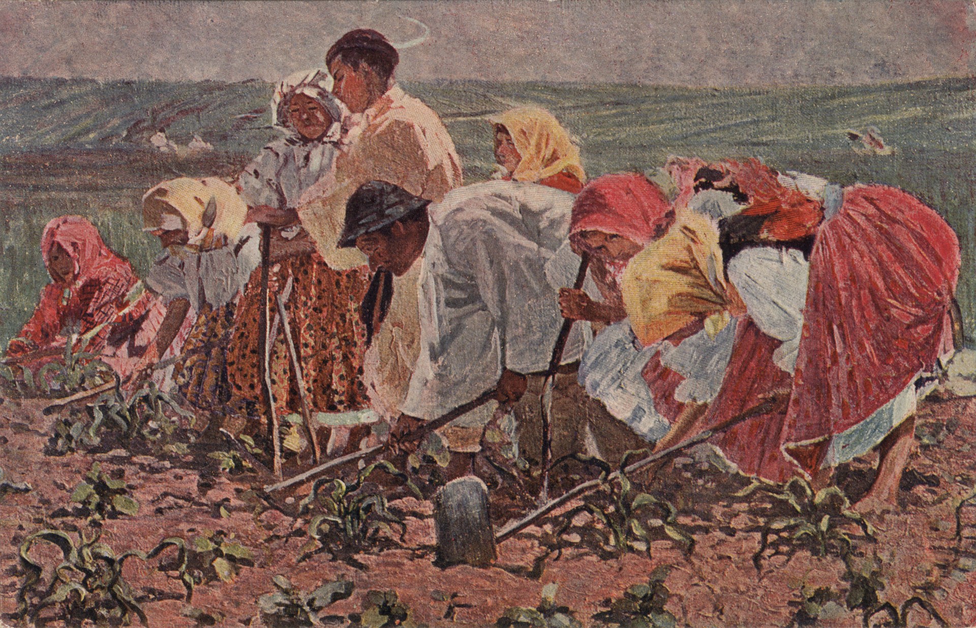 На пропашке