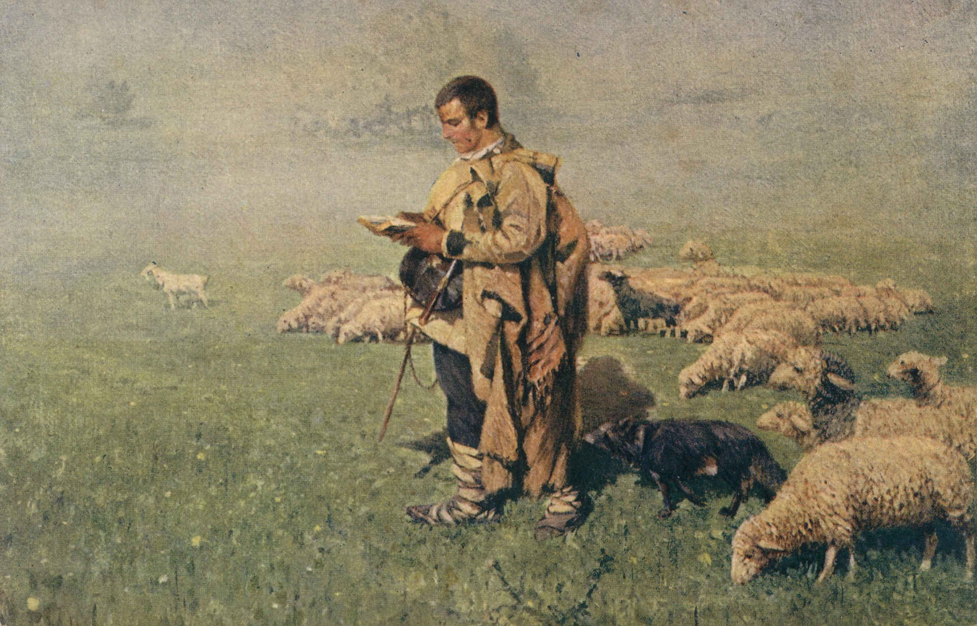 Утро на пастбище