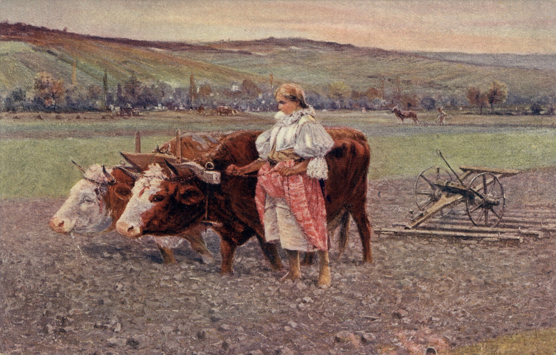 Возвращение с поля