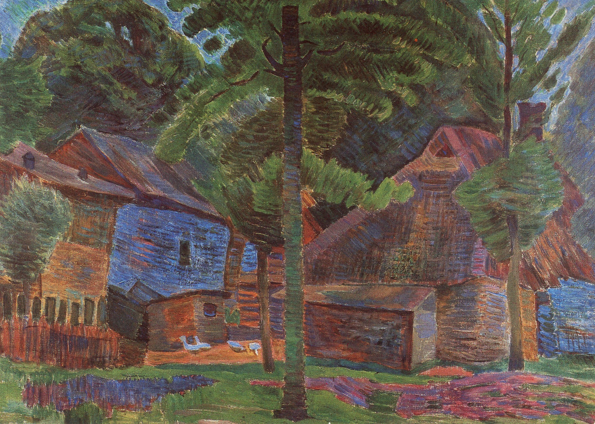 Вид Тенчинек