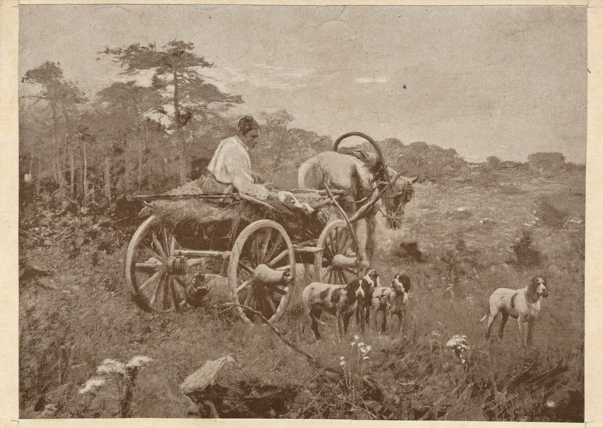 На становище