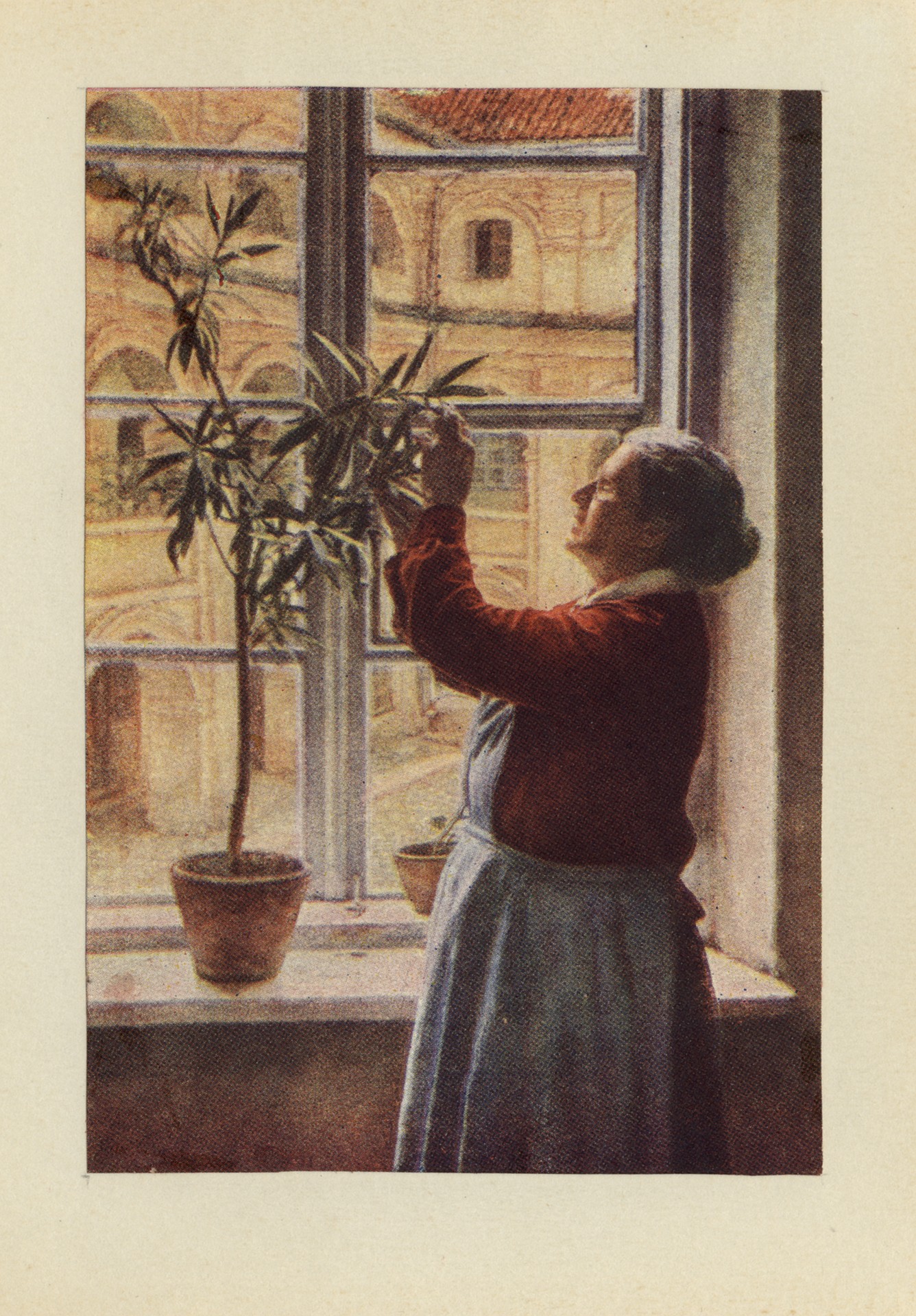 Зацветёт ли