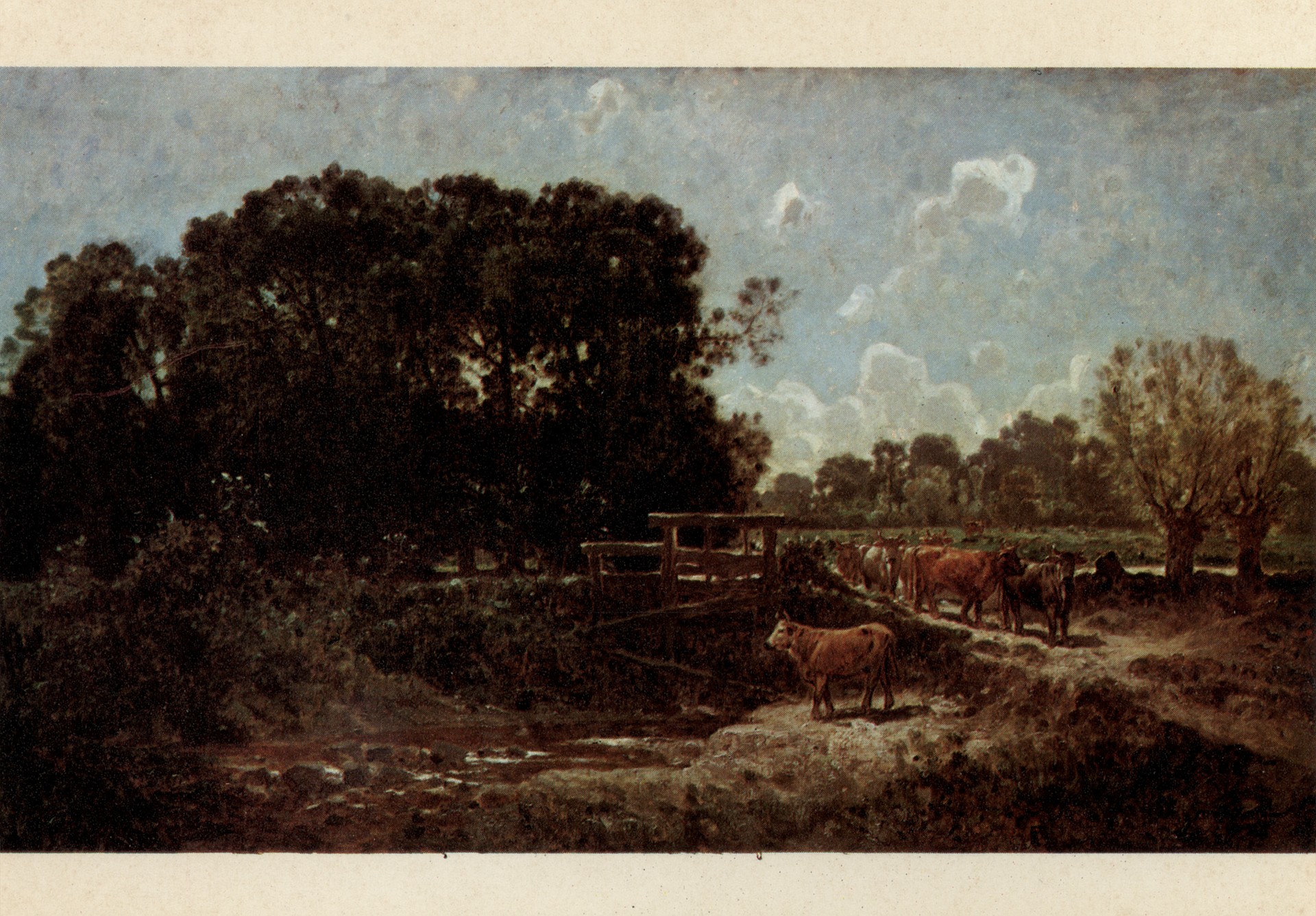 Скот идёт на водопой